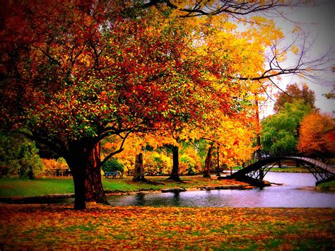 wallpaper of autumn season|free fall wallpaper for laptop.